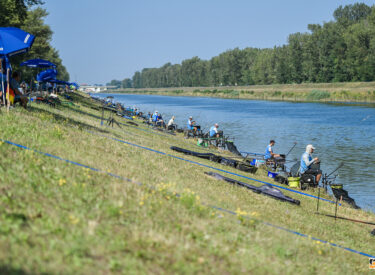 10413_78010_vipro036