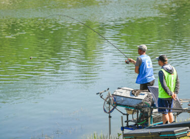 10413_78013_vipro047