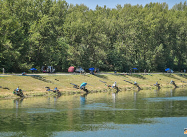 10413_78023_vipro059