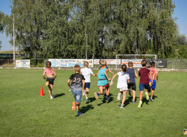10425_78214_vipro020