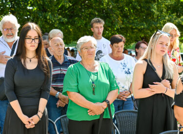 studio VIPRO