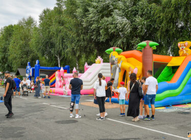 10431_78300_vipro02