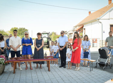 10435_78368_vipro014