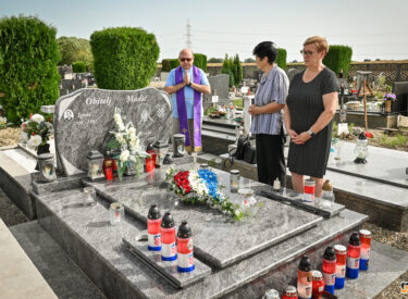 studio VIPRO