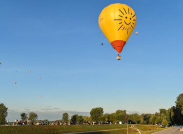 10478_78952_vipro397