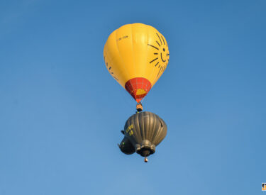 10478_78954_vipro403