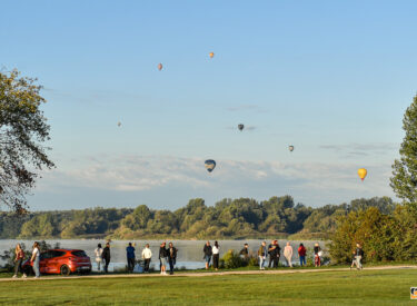 10478_78957_vipro412