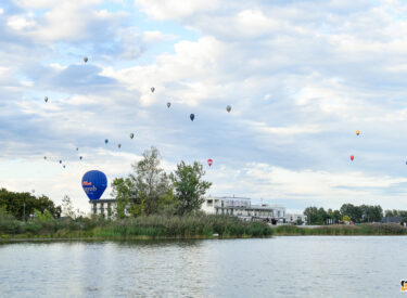 10478_78958_vipro300