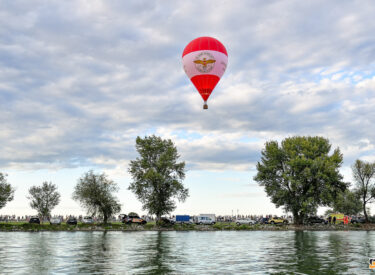 10478_78959_vipro301
