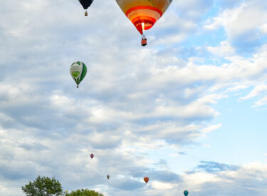 10478_78960_vipro318