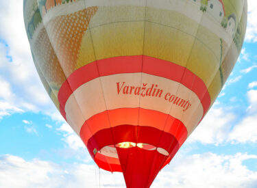 10478_78962_vipro333