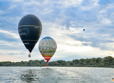 10478_78963_vipro339