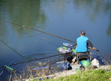 10531_79621_vipro009