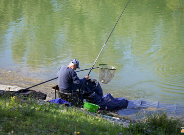 10531_79625_vipro018