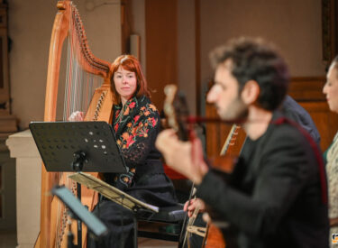 studio VIPRO